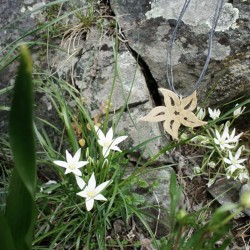 Modèle "Narcisse bicolore/biface - lanière coton"